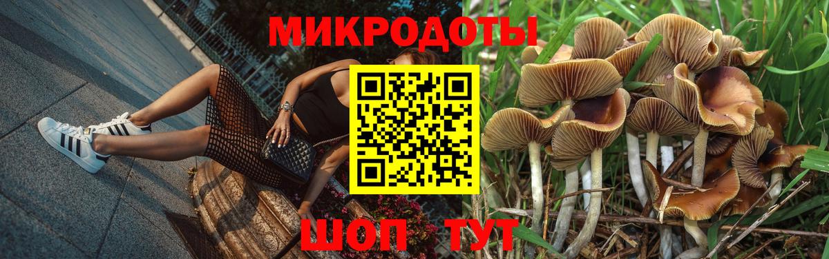 Псилоцибиновые грибы ЛСД Анапа